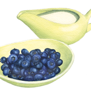 Blueberries + cream