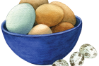 Araucana, brown + quail eggs
