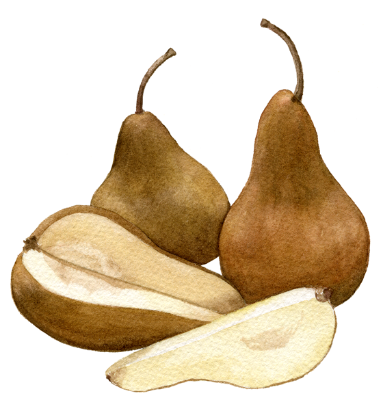 Pear-'Bosc'
