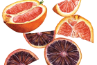 Oranges: Cara Cara + Blood