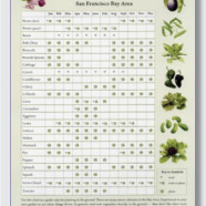 Vegetable Planting Calendar