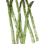 Jersey Giant asparagus