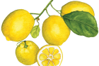 Meyer lemon