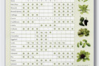 Vegetable Planting Calendar