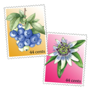 blueberry + passionflower stamps