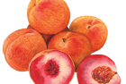 Indian Blood Peaches